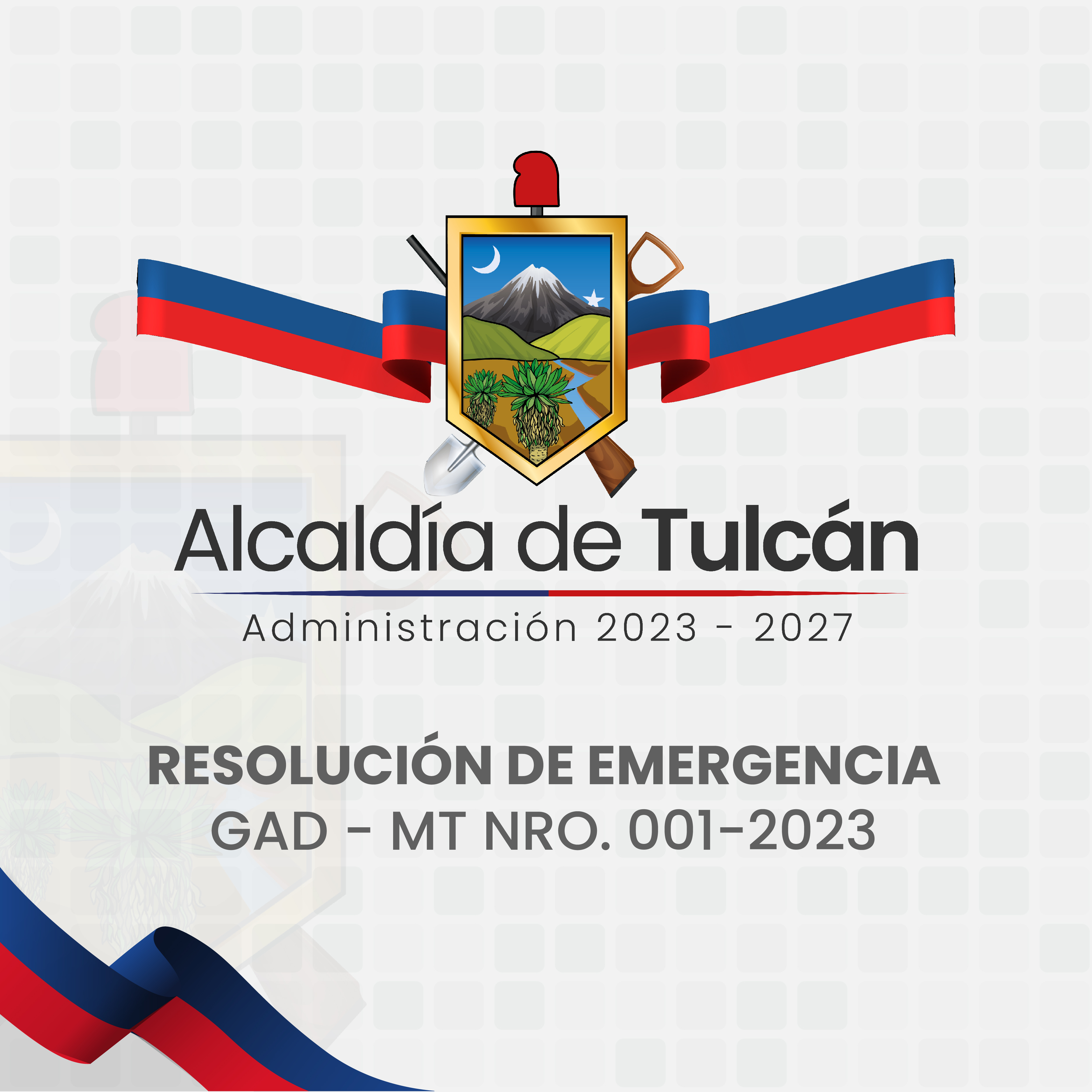 RESOLUCION DE EMERGENCIA
